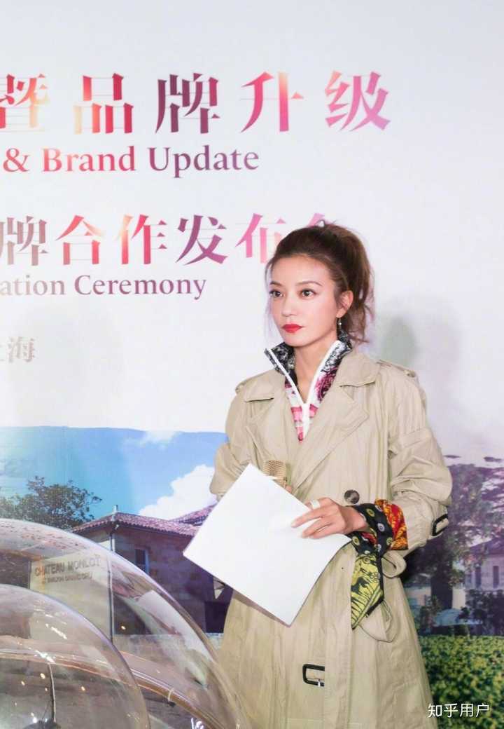 如何评价赵薇的长相?
