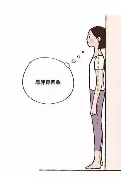 每餐饭后靠墙站立5到10分钟,保持小腿,臀部,背部和后脑勺贴