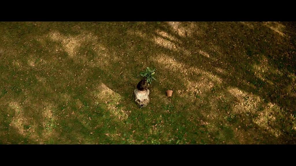 你觉得哪部电影的结尾最棒? - 知乎