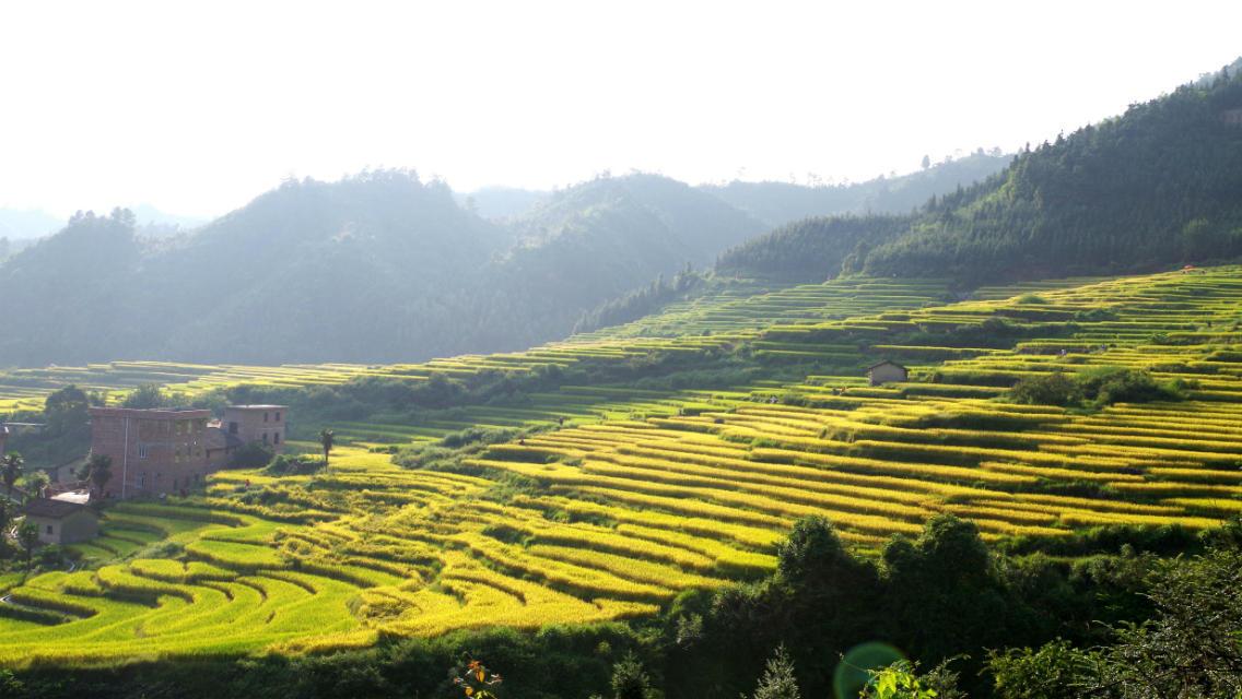 广东有什么好玩的地方? - 王婷的回答 - 知乎