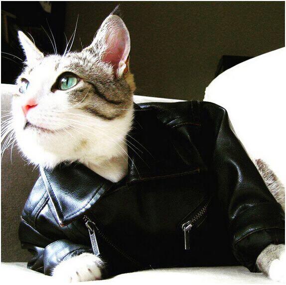 <em>男</em>高中生183厘米130斤<em>如何打扮</em>凸显<em>自身</em>优势