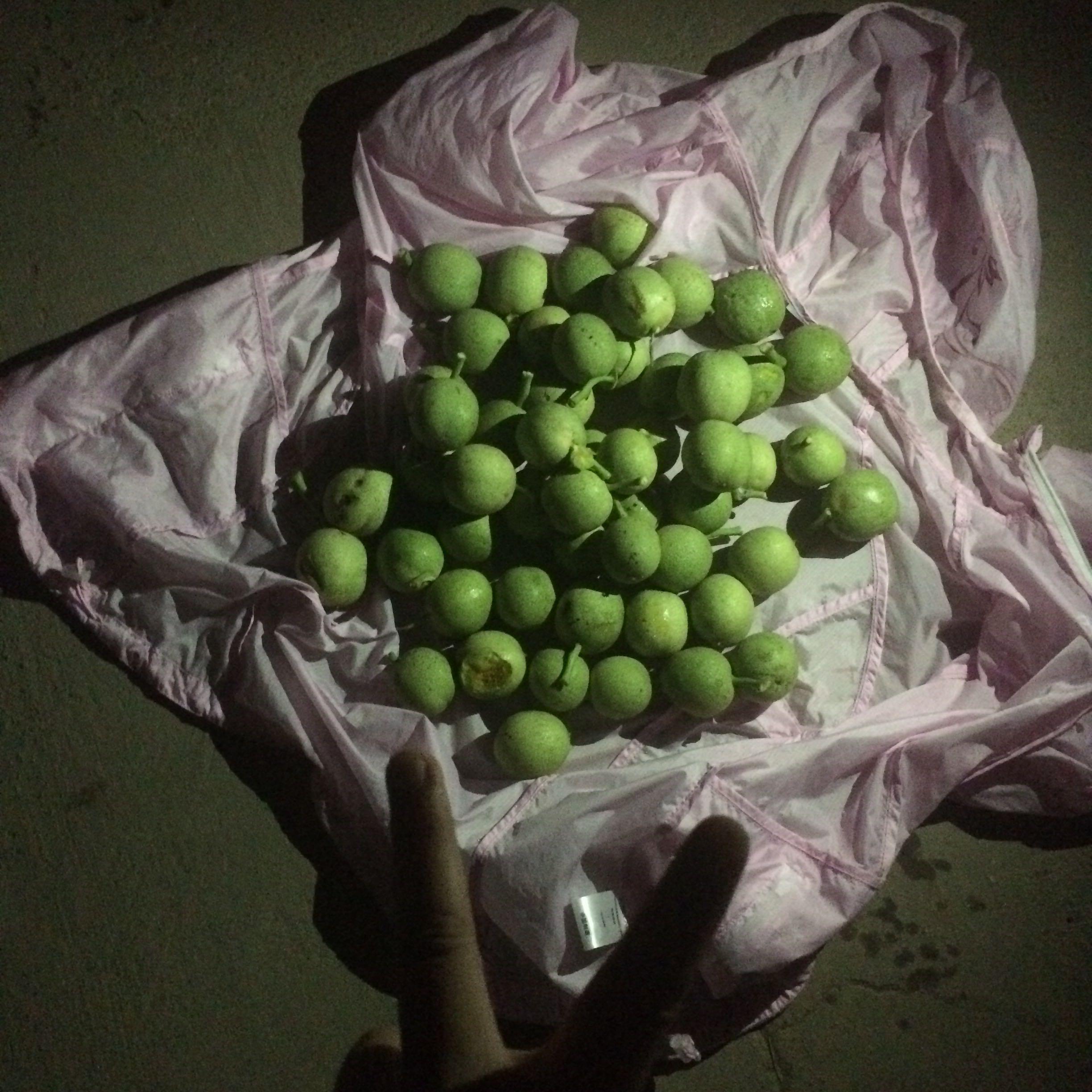 在你大学生活中,最快乐的一件事是甚么? - 吾乃