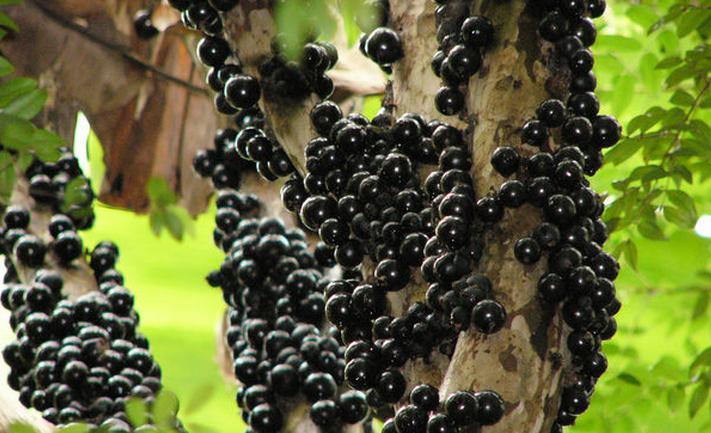 GDP总量与人均GDP的关系--GDP指标的意义