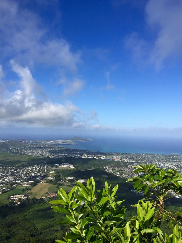 番石榴岛国语在线观看