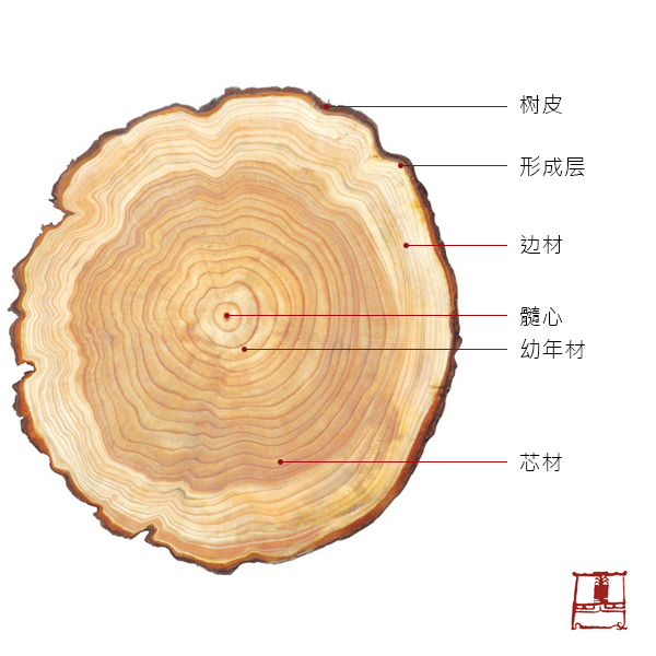 先看定义:木材是能够次级生长的植物所形成的木质化组织.