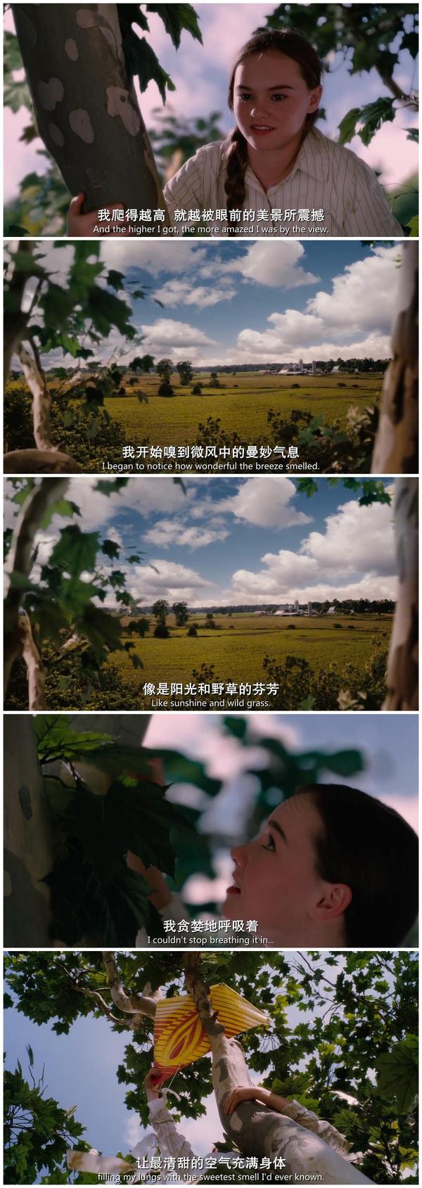 电影怦然心动中有一首诗,韩寒引用过的,第一句 有人住