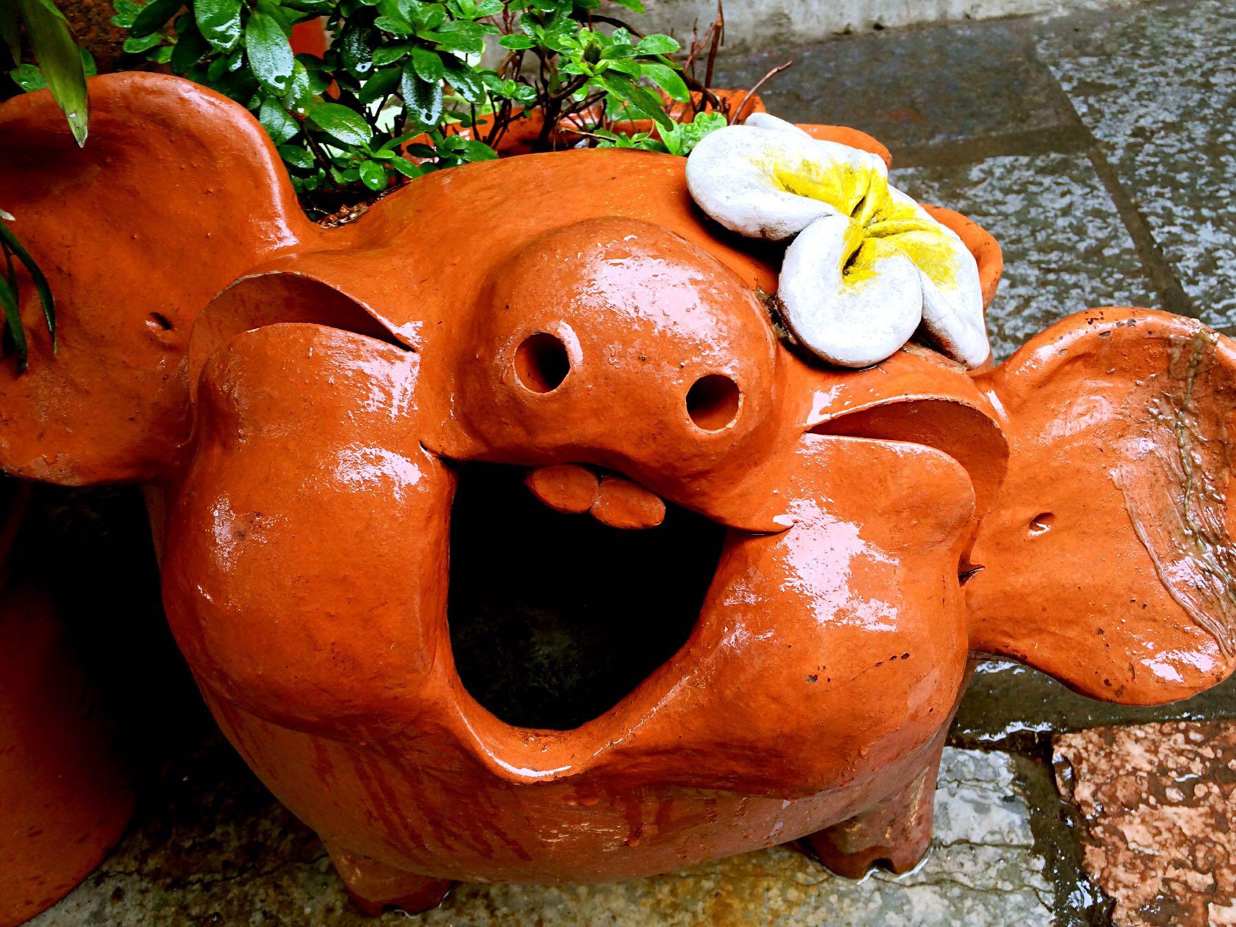 拔智齿有多痛? - 酒酒的回答 - 知乎