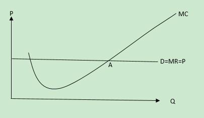 世界最大邮轮_世界上最大的蚊子_销售收入最大化理论(2)