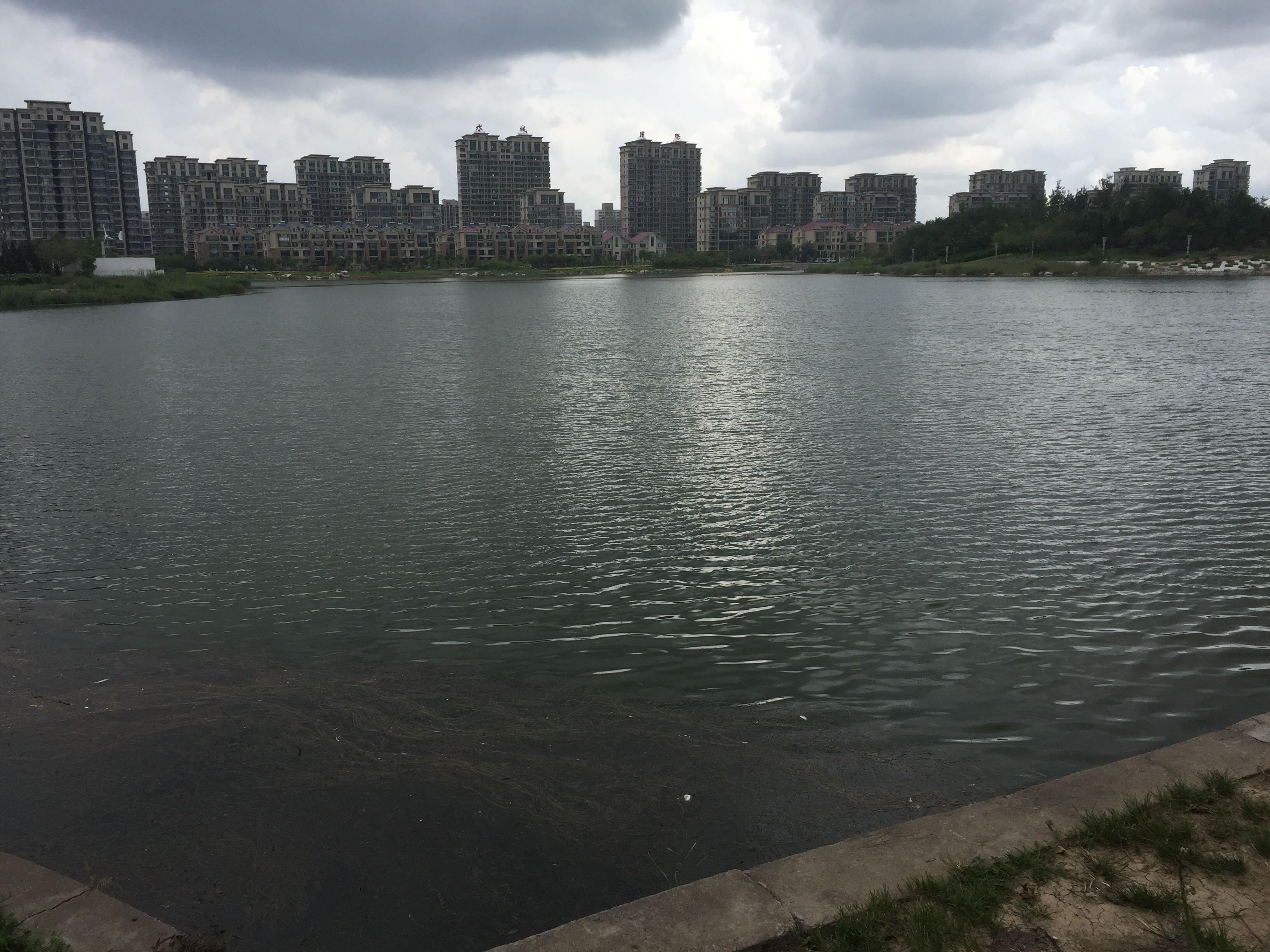 如何找男朋友? - 知乎用户的回答