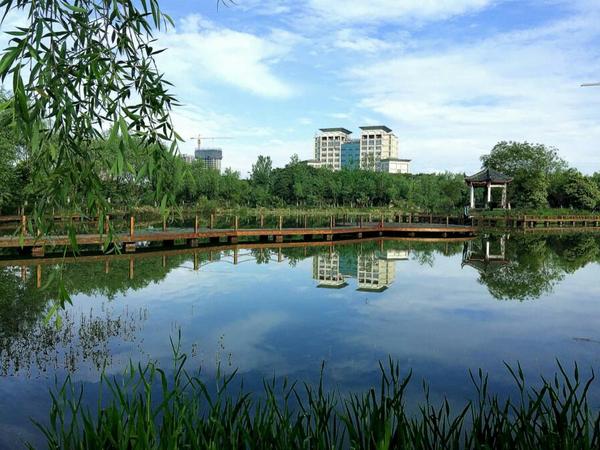 在成都中医药大学读书是怎样的一种体验?