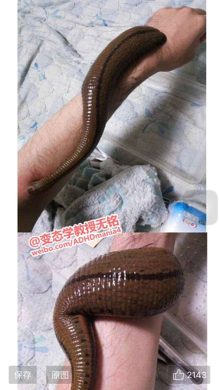 吃喝玩乐 不学无术 2 人赞同了该回答 微博去看变态学无铭教授啊
