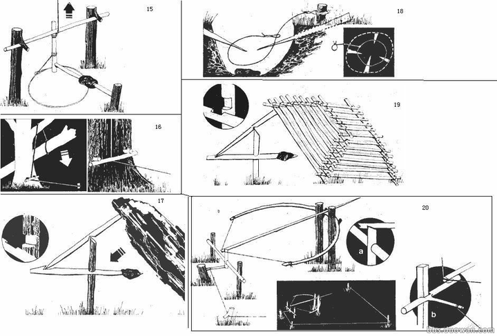 贝爷用过的各种捕食陷阱的制作方法