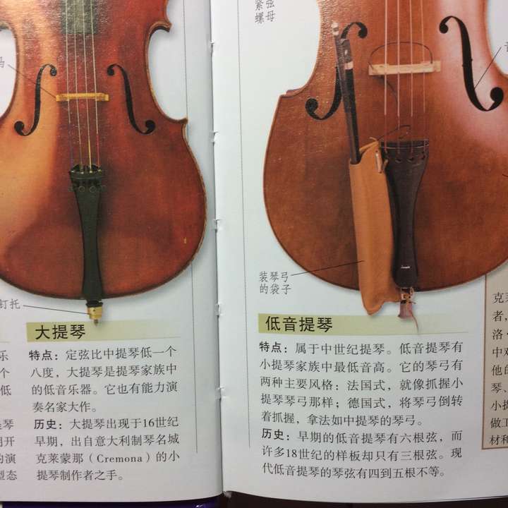 怎么区分大提琴和低音提琴?