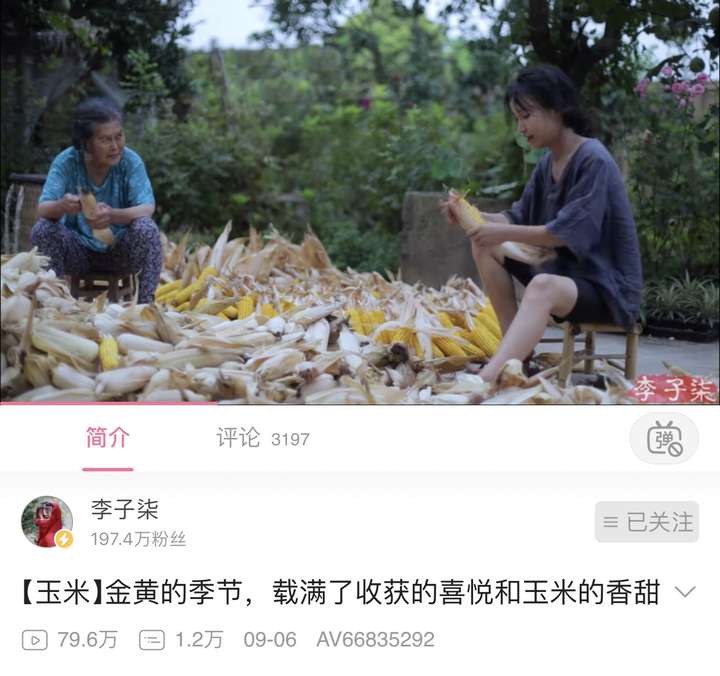 李子柒，我只知道她在撒谎