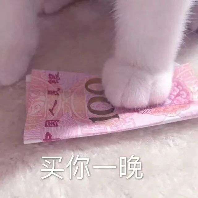 买你一晚猫爪表情包 谁有吖 快分享一下吧?