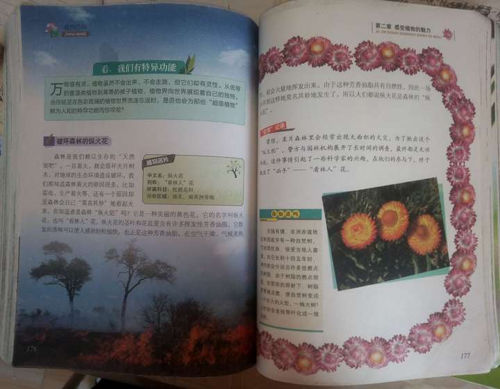 有很多自燃的植物,比如纵火花.