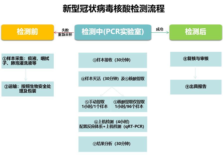 新冠病毒核酸检测时间?