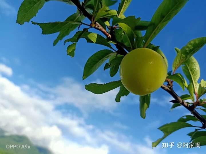 你手机里有哪些夏天的照片?