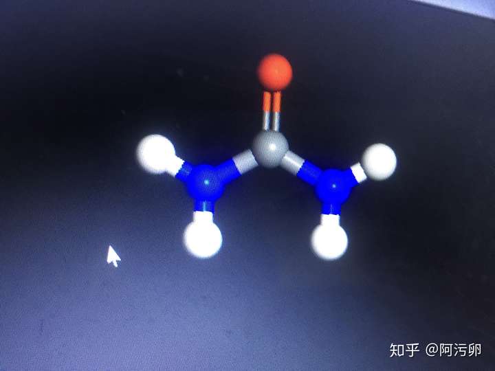 尿素分子所有原子共平面吗