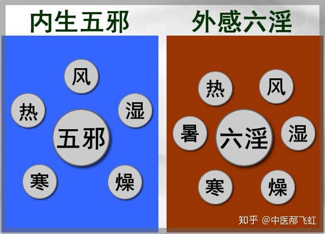 太过,也可引伸为"异常,风,寒,暑,湿,燥,火这六种外感病邪被中医称为"