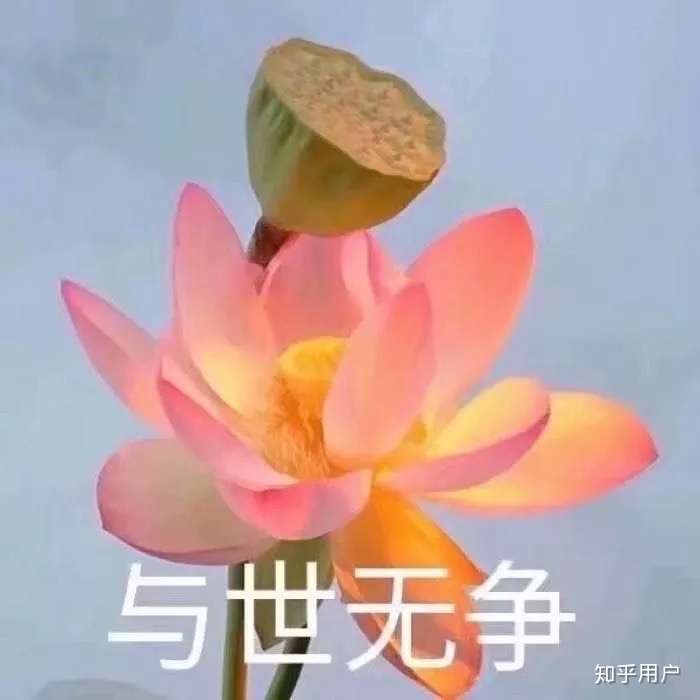 我就会被欺负 但是我不想反驳 因为我就想忍忍就过去了 而且我怕欺负
