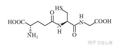 谷胱甘肽是由谷氨酸,半胱氨酸,甘氨酸组成的,含有疏基的三肽,简称gsh