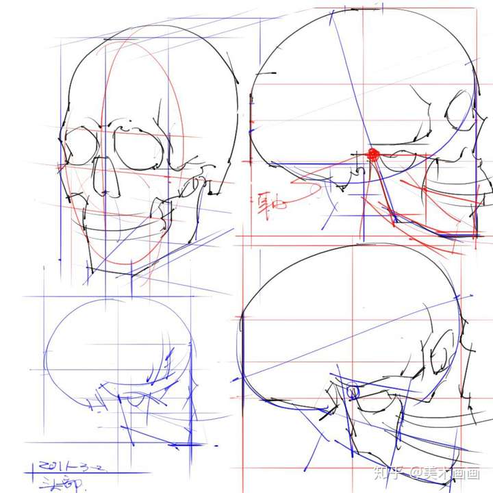 如何掌握素描头部结构比例?一文告诉你!