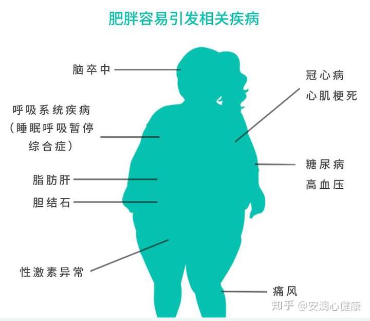 肥胖基因检测轻松一检找到胖的根源