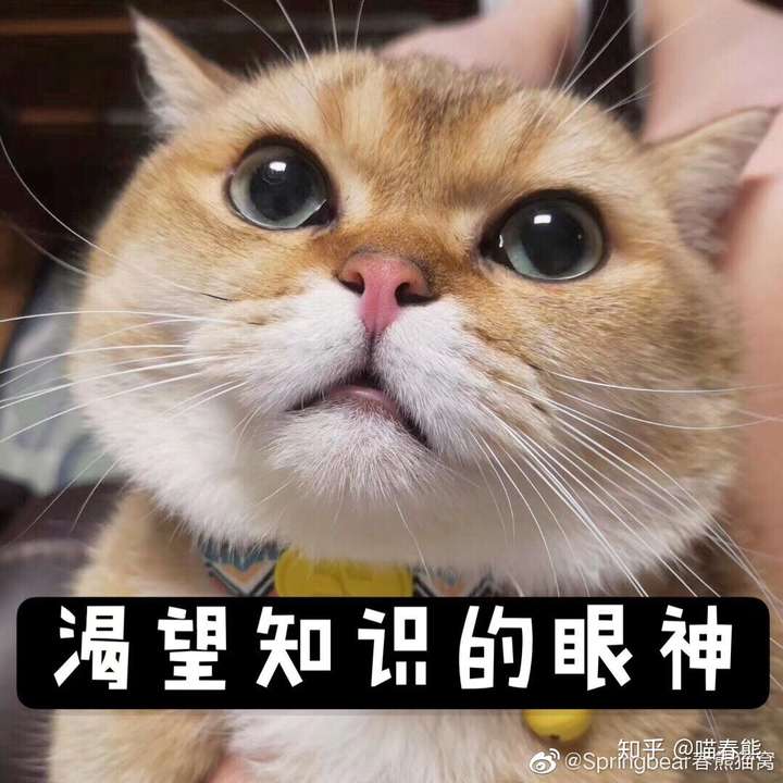 有没有可爱又沙雕的自家猫咪表情包?