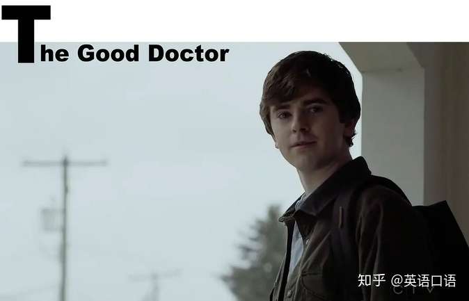 竟然没有人提《the good doctor》中文名:《良医》,强推我的海默小