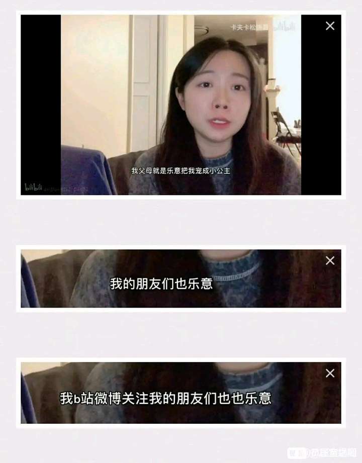 如何评价b站up主卡夫卡松饼君?