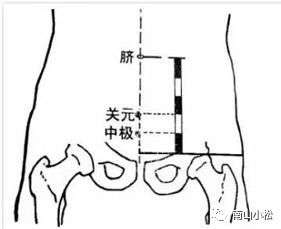 关元,位于曲骨至神阙连线五等分的2寸处,是小肠之募穴,足三阴(脾,肾
