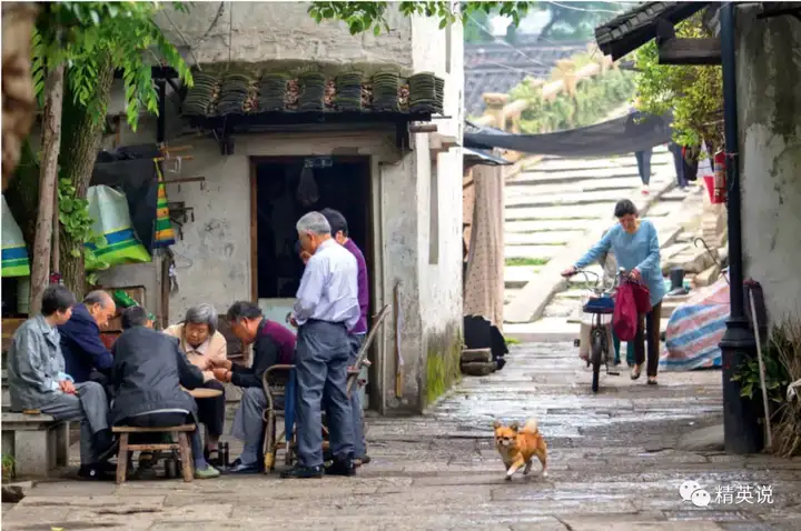 中国老人自杀调查，回=糊编：美国是老弱.坟墓