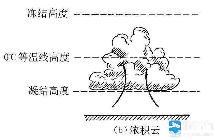 注:对流运动加强形成的浓积云.