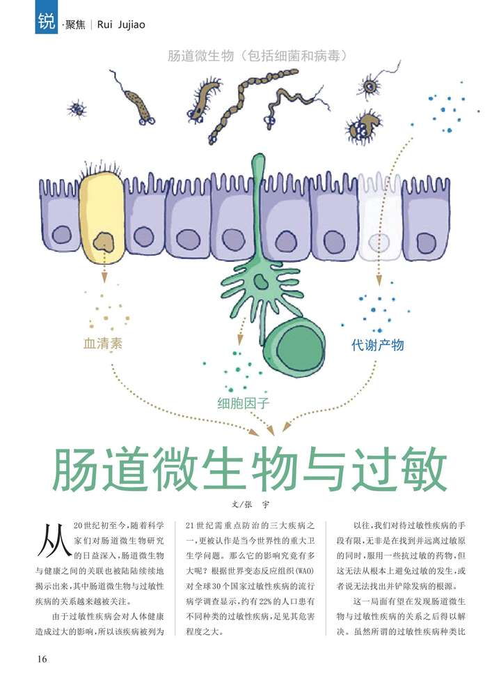 肠道微生物与过敏