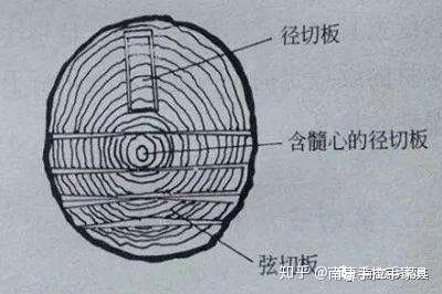 横切面是和树干主轴或木纹垂直的切面,也称为端面.