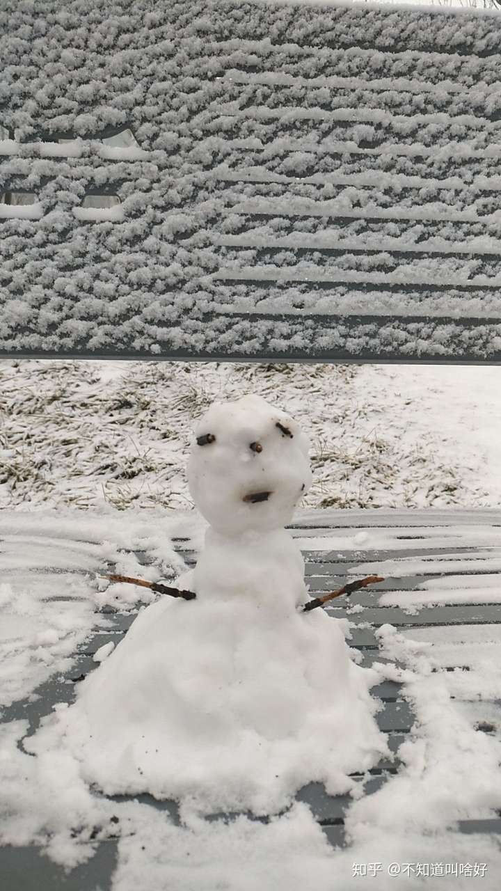 雪人最孤独