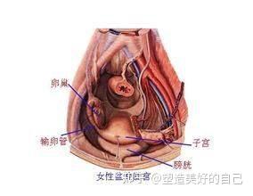 宫美诗盆腔积液是什么盆腔积液需要治疗吗