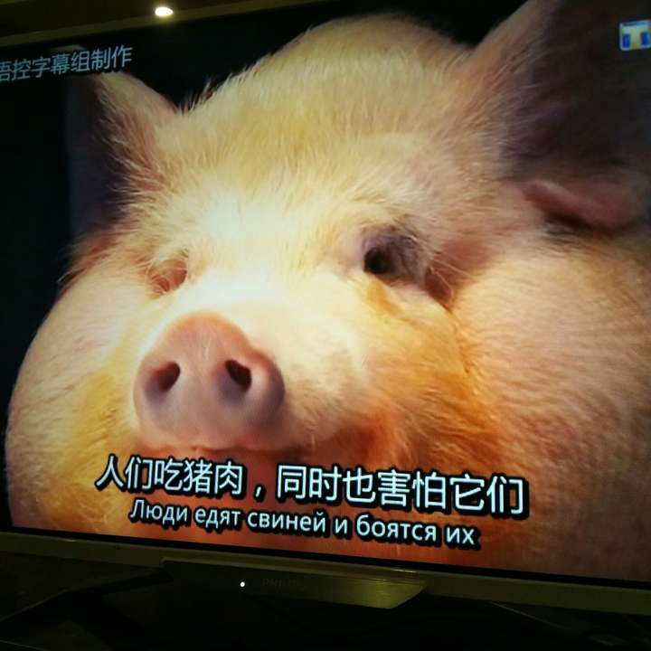 有哪些笑出声的gif图片?