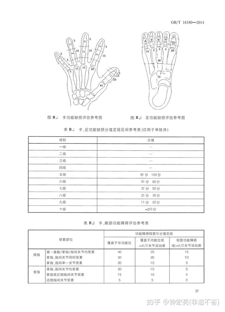 右手拇指末节离断伤能评伤残吗?