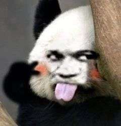 想要一些可可爱爱,没有水印的表情包,拜托了,在座的各位!