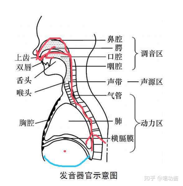 唱歌需要的气息要怎么练?