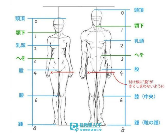 针对题主的问题,微课君在此分享人体训练比较重要的3个块面 1,人体