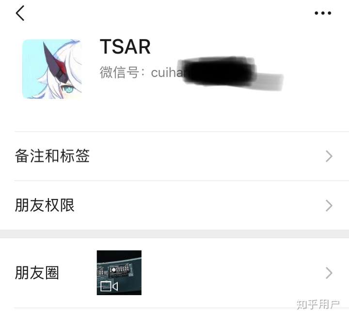 什么是tsar remix (可以顺便科普一下这种音乐吗)?