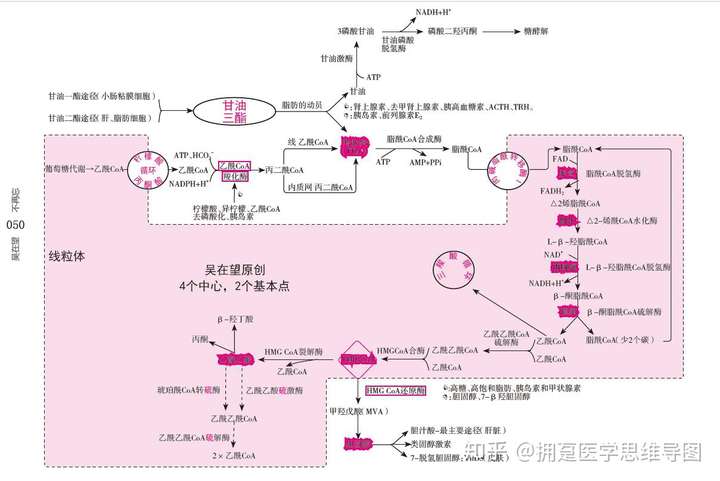 吴在望思维导图