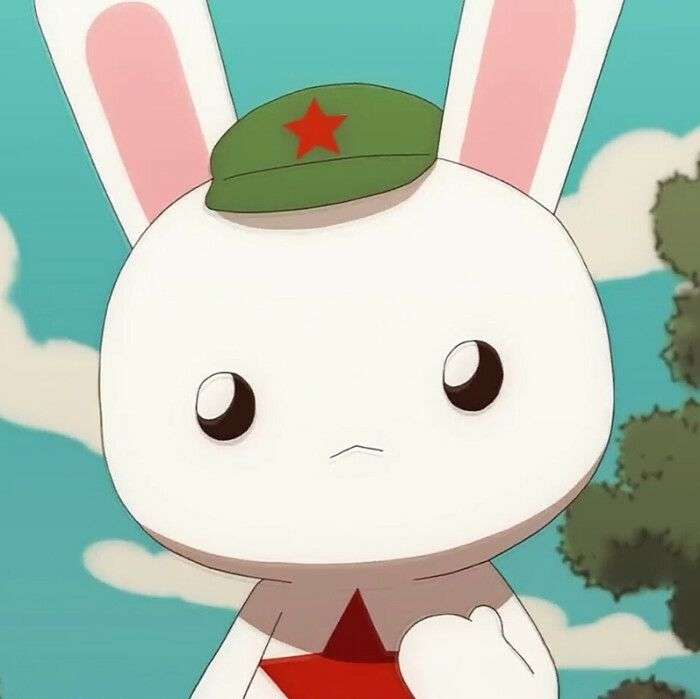 有没有那年那兔那些事的头像呢