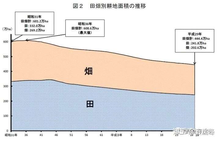 我们并不是“命中注定要住拥挤的房子”