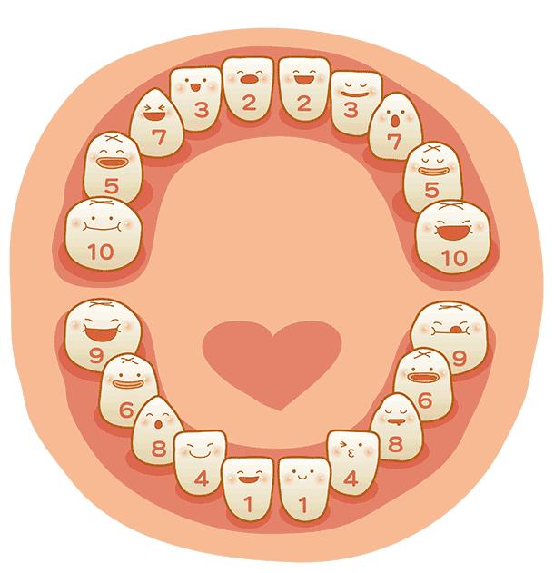 孩子三岁前应该有几颗牙齿?