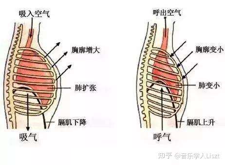 唱歌时呼吸的方法到底有没有对错?