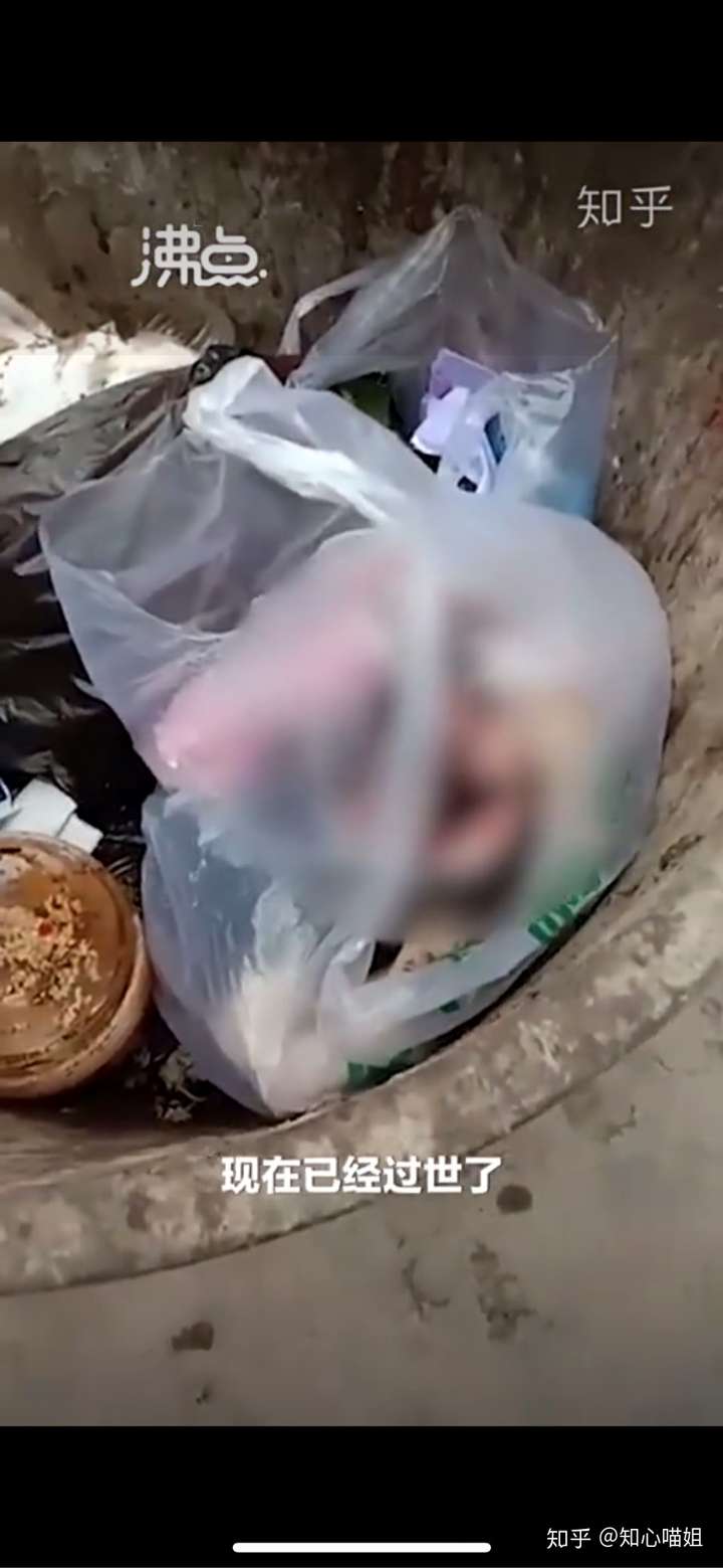 湖南怀化一垃圾桶内发现断气婴儿,被装进购物袋丢弃,发现时已经没气了